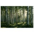 TABLEAU SUR TOILE – FORÊT DE BOULEAUX À L’AUBE - TABLEAUX FORÊT - TABLEAUX