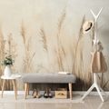 TAPETA SUCHÉ ROSTLINY V BÉŽOVÉ BARVĚ - TAPETY - TOTÁLNÍ VÝPRODEJ 🔥