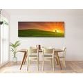 CANVAS PRINT TREE ON THE MEADOW - PICTURES OF NATURE AND LANDSCAPE - PICTURES