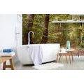WALL MURAL GREEN FOREST - WALLPAPERS NATURE - WALLPAPERS
