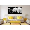 CANVAS PRINT ORCHID AND A BUTTERFLY ON AN ABSTRACT BACKGROUND - BLACK AND WHITE PICTURES - PICTURES