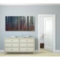 CANVAS PRINT SECRET OF THE FOREST - PICTURES OF NATURE AND LANDSCAPE - PICTURES