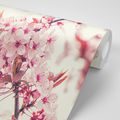 WALL MURAL PINK CHERRY BLOSSOMS - WALLPAPERS FLOWERS - WALLPAPERS
