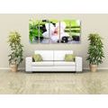 5-PIECE CANVAS PRINT JAPANESE ORCHID - PICTURES FENG SHUI - PICTURES