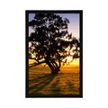 POSTER ALLEINSTEHENDER BAUM BEI SONNENUNTERGANG - NATUR - POSTER