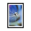 POSTER WITH MOUNT DEW DROP ON A COLORED BACKGROUND - FLOWERS - POSTERS