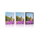 POSTER PROVENCE WITH LAVENDER FIELDS - CITIES - POSTERS
