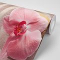 CARTA DA PARATI AUTOADESIVA – SABBIA MARINA E ORCHIDEA ROSA - CARTA DA PARATI FENG SHUI - CARTA DA PARATI