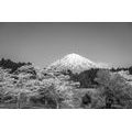 PAPIER PEINT DU MONT FUJI EN NOIR ET BLANC - PAPIER PEINT NATURE - PAPIER PEINT