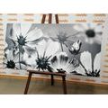 CANVAS PRINT GARDEN FLOWERS IN BLACK AND WHITE - BLACK AND WHITE PICTURES - PICTURES