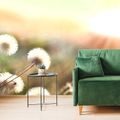 SELF ADHESIVE WALL MURAL PANORAMA OF A BLOOMING MEADOW - SELF-ADHESIVE WALLPAPERS - WALLPAPERS