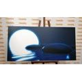 CANVAS PRINT ZEN STONES AND A FULL MOON - PICTURES FENG SHUI - PICTURES