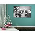 CANVAS PRINT ELEGANT CALLA FLOWERS IN BLACK AND WHITE - BLACK AND WHITE PICTURES - PICTURES