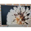 TABLEAU SUR TOILE – PISSENLIT SUR FOND SOMBRE - TABLEAUX DE FLEURS - TABLEAUX