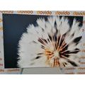 CANVAS PRINT DANDELION ON A DARK BACKGROUND - PICTURES FLOWERS - PICTURES