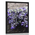 POSTER BLUMENSTRAUSS MIT LAVENDEL - BLUMEN - POSTER