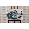 CANVAS PRINT BEAUTIFUL INTERPLAY OF STONES AND ORCHIDS IN BLACK AND WHITE - BLACK AND WHITE PICTURES - PICTURES