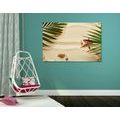 CANVAS PRINT OF SEASHELLS UNDER PALM LEAVES - STILL LIFE PICTURES{% if product.category.pathNames[0] != product.category.name %} - PICTURES{% endif %}
