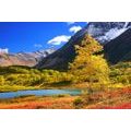 SELBSTKLEBENDE FOTOTAPETE SCHÖNE NATUR IN KAMTSCHATKA - SELBSTKLEBENDE TAPETEN - TAPETEN