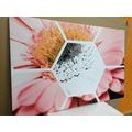 CANVAS PRINT GERBERA IN A HEXAGON - PICTURES FLOWERS{% if product.category.pathNames[0] != product.category.name %} - PICTURES{% endif %}