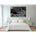 CANVAS PRINT FLORAL ILLUSTRATION IN BLACK AND WHITE - BLACK AND WHITE PICTURES - PICTURES