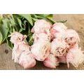 CANVAS PRINT ROMANTIC BOUQUET - PICTURES FLOWERS - PICTURES