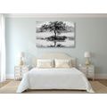 CANVAS PRINT ORIENTAL CHERRY IN BLACK AND WHITE - BLACK AND WHITE PICTURES - PICTURES