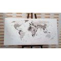 DECORATIVE PINBOARD BLACK AND WHITE MAP WITH NAMES - PICTURES ON CORK - PICTURES