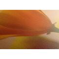 CANVAS PRINT BEAUTIFUL FLOWER - PICTURES FLOWERS - PICTURES