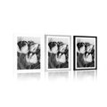 POSTER WITH MOUNT SPRING TULIPS IN BLACK AND WHITE - BLACK AND WHITE - POSTERS