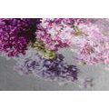 CANVAS PRINT LILAC IN SHADES OF PINK - PICTURES FLOWERS - PICTURES