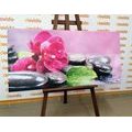 CANVAS PRINT ORCHID WITH A HINT OF RELAXATION - PICTURES FENG SHUI - PICTURES