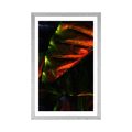 POSTER WITH MOUNT TROPICAL PALM LEAVES - NATURE - POSTERS