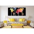 5-PIECE CANVAS PRINT WORLD MAP IN WATERCOLOR ON A BLACK BACKGROUND - PICTURES OF MAPS - PICTURES