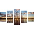 5-PIECE CANVAS PRINT PEACEFUL RIVER BY THE VILLAGE - PICTURES OF NATURE AND LANDSCAPE - PICTURES