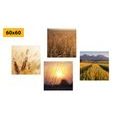 CANVAS PRINT SET MAGIC OF NATURE - SET OF PICTURES - PICTURES