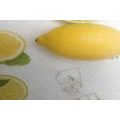 CANVAS PRINT MIX OF CITRUS FRUITS - PICTURES OF FOOD AND DRINKS - PICTURES