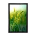 AFFICHE BRINS D'HERBE - NATURE - AFFICHES