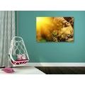 CANVAS PRINT ANGEL WITH SUN RAYS - PICTURES OF ANGELS - PICTURES