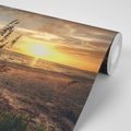 WALL MURAL SUNSET ON A BEACH - WALLPAPERS NATURE - WALLPAPERS