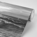 SELF ADHESIVE WALLPAPER MORNING AT SEA IN BLACK AND WHITE - SELF-ADHESIVE WALLPAPERS - WALLPAPERS