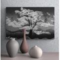 CANVAS PRINT BLACK AND WHITE TREE COVERED IN CLOUDS - BLACK AND WHITE PICTURES - PICTURES