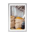 POSTER WITH MOUNT MEDICINAL HERBS - STILL LIFE - POSTERS