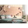 WALL MURAL SEA TREASURES ON WOOD - WALLPAPERS NATURE - WALLPAPERS