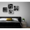 BILDER-SET TIERE IN SCHWARZ-WEISS IM POP-ART-STIL - BILDERSETS - BILDER