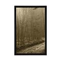 POSTER SEPIA PATH TO THE FOREST - BLACK AND WHITE - POSTERS