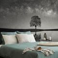 WALL MURAL BLACK AND WHITE STARRY SKY ABOVE A LONELY TREE - BLACK AND WHITE WALLPAPERS - WALLPAPERS
