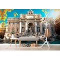 WALL MURAL TREVI FOUNTAIN IN ROME - WALLPAPERS CITIES - WALLPAPERS