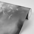WALL MURAL MAGICAL BLACK AND WHITE DANDELION - WALLPAPERS - 🔥 TOTAL SALE 🔥
