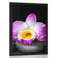 AFFICHE AVEC MONTURE ORCHIDÉE VIOLETTE SUR PIERRES ZEN - FENG SHUI - AFFICHES